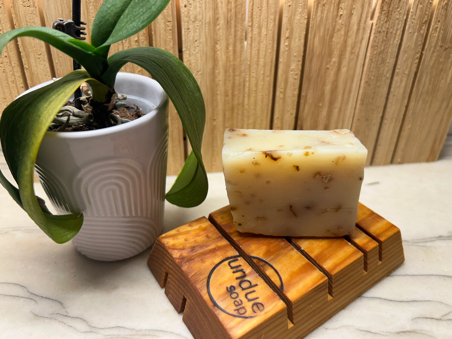 Bar of soap on a wooden soap dish with a plant in the background